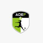 Equipo de Primera División Liga Fulanita de Tal